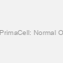 Rat Bone PrimaCell: Normal Osteoblasts